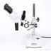 Mikroskop Delta Optical NTX-L (5-20x)