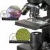 Mikroskop Bresser National Geographic (40-1280x)