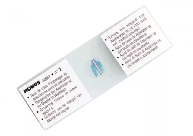 Konus sada mikroskopických vzorků - obratlovci/savci - 25ks