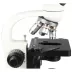 Mikroskop Omegon BioMon LED (40x-1000x)