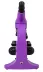 Mikroskop Levenhuk Rainbow 50L Amethyst (40-800x)