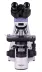 Mikroskop MAGUS Bio 250B (40-1000x)