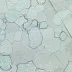 Mikroskop MAGUS Metal 630 (50-500x)