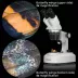 Stereomikroskop Bresser Researcher ICD (20-80x)