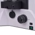 Mikroskop MAGUS Lum V500L (100-400x)