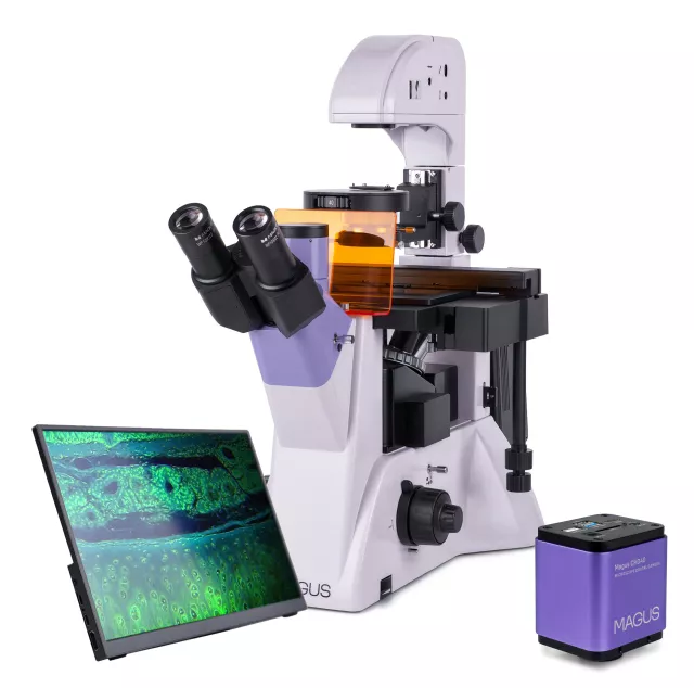 Mikroskop MAGUS Lum VD500 LCD (100-400x) s kamerou