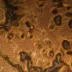 Mikroskop MAGUS Metal V790 DIC (50-1000x)