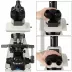 Mikroskop Nexcope NE930 (40-1000x)